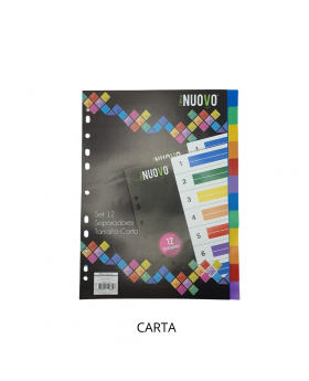 SEPARADORES VINIL TAMAÑO A4 12 DIVISIONES /120