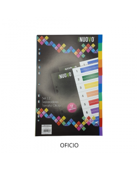 SEPARADORES VINIL TAMAÑO OFICIO 12 DIVISIONES /120