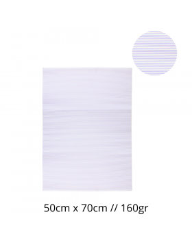 CARTULINA CORRUGADA 50X70CM 160G BLANCO SET10U /25