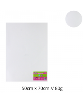 PAPEL LUSTRE BLANCO 50x70CM 80G SET10U /60