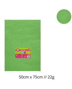 PAPEL SEDA PISTACHO 50x75CM 22G SET100U /25