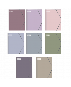 CARPETA CARTERA ELASTICO PLASTICO OFICIO NUOVO/200