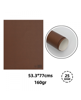 CARTULINA ARTETOP CAFE 53.3x77CM 160G /300