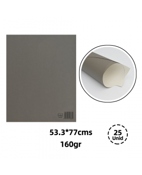 CARTULINA ARTETOP GRIS 53,3x77CM 160GRS