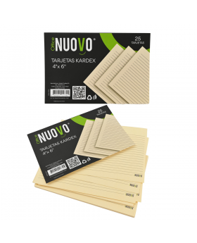 TARJETAS KARDEX 4x6 SET25 /100