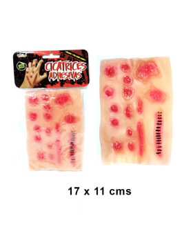 ST CICATRICES X 12/360