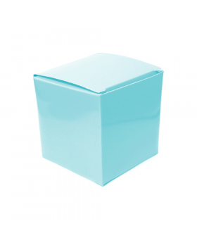 ST CAJITA REC. CELESTE/100