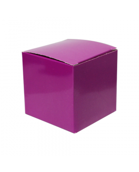 ST CAJITA REC. LILA/100