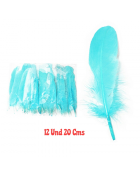 SET 12 PLUMAS 20 CMS CALIPSO /25