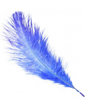 PLUMA FINA 20 CMS AZUL/300