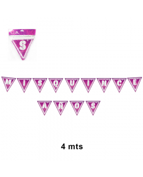 BANNER DE 15 AÑOS/ 100