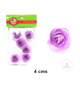 SET 6 CAPULLO STICK/300