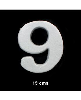 NUMERO 9 PLUMAVIT/300