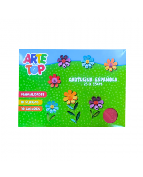 CARPETA CARTULINA ESPAÑOLA 25x35CM 10 PLIEGOS /60