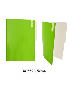 CARPETA PIGMENTADA OFICIO PISTACHO NUOVO/500