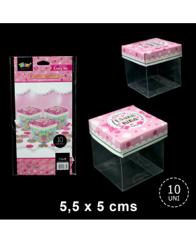 TAPA CAJA TRANSPARENTE NINA ROSADO GOLDEN/192