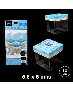 TAPA TRANSPARENTE BABY NINO CELESTE SILVER/192