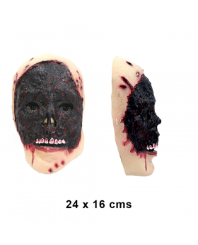 MASCARA QUEMADO X 1/24