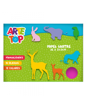 CARPETA PAPEL LUSTRE 26.5x37.5CM 14 PLIEGOS /80