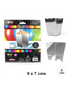 ST 6UN CAJA CABRITAS CHICA BORDE SILVER /240