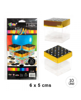 CAJA TRANSPARENTE C/TAPA NEGRO FOIL SET10U /216