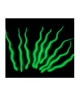 HALLOWEEN GLOW IN THE DARK X 1/6