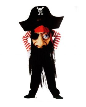DISFRAZ PIRATA CARA GRANDE/12