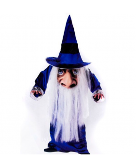DISFRAZ BRUJO CARAGRANDE X 1/12