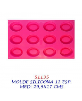 MOLDE SILICONA 12 ESPACIOS/60