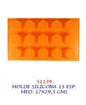 MOLDE SILICONA 15 ESPACIOS/60