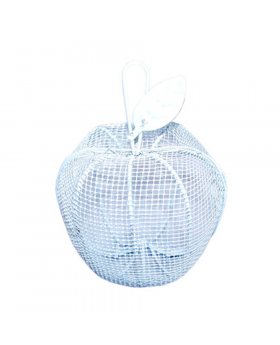 RECUERDO META MANZANA/300