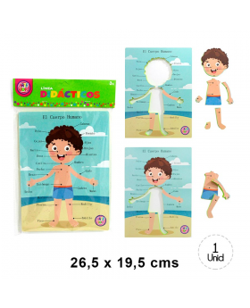 CUERPO HUMANO HOMBRE EVA/192