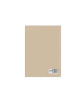 CARTULINA ARTETOP 53,3X77CM 140GRS BEIGE /300