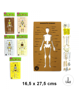 MARCO PARA 21 FIG CON ESQUELETO X 12/216