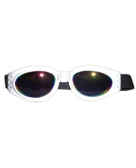 LENTE PARA PERRO/140