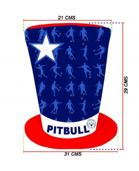 GORRO CHILE PITBULL/60