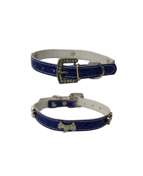 COLLAR FASHION PET/360