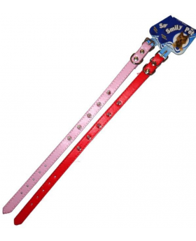 COLLAR FASHION PET/360