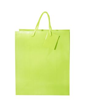 SET 2 BOLSA REGALO PISTACHO/120