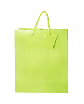 SET 2 BOLSA REGALO PISTACHO/120