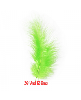 ST 20 PLUMAS 12CMS PISTACHO
