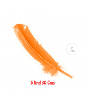 ST X6 PLUMAS 30 CMS NARANJA /100