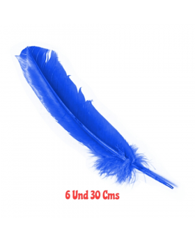 PLUMAS 30CMS AZUL SET6U /100