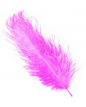 PLUMA FINA 20 CMS FUCSIA/300