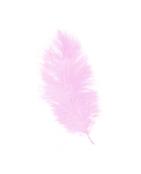 PLUMA FINA 20 CMS ROSADO/300