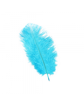 PLUMA FINA 20 CMS CALIPSO/300