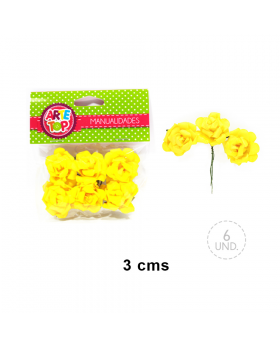 SET DE FLORES/300
