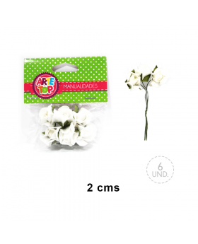 SET DE FLORES/300