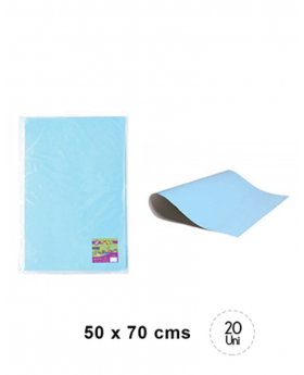 CARTULINA ESPAÑOLA CELESTE 50x70CM /300