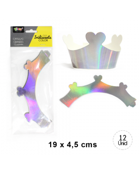 CAPSULAS GRANDE CON FORMA IRIDISCENTE SILVER/252